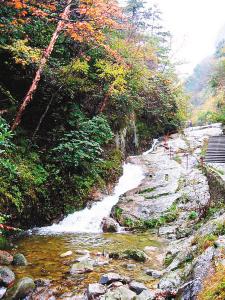 秦嶺北麓青華山