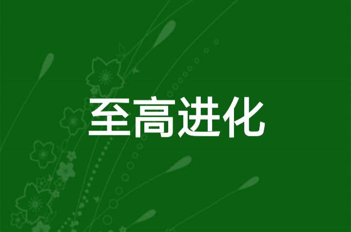 至高進化(中國小說)