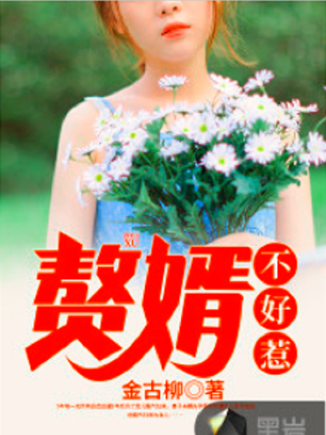 贅婿不好惹(金古柳所著小說)