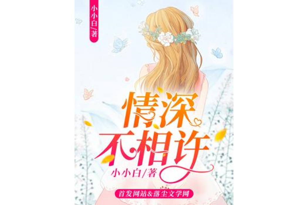 情深不相許(小小白所著小說)