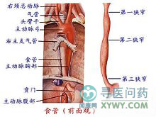 食管腐蝕傷