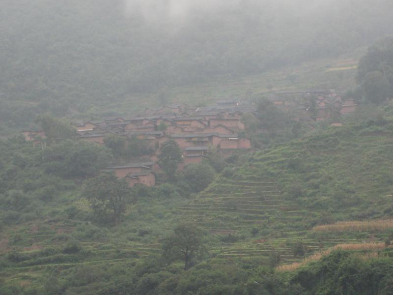 桃樹村(雲南省武定縣環州鄉拉務村委會桃樹村)