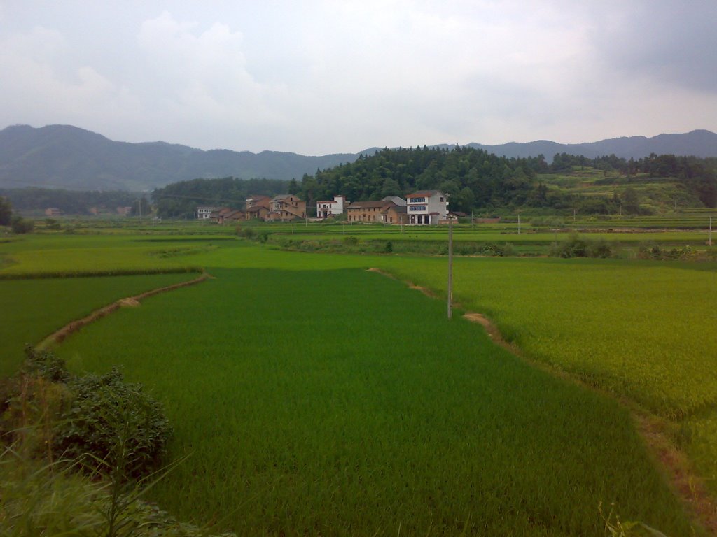 荷葉村(湖南永州市祁陽縣進寶塘鎮下轄村)