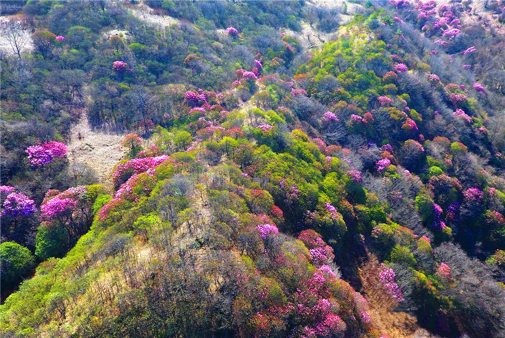 巫溪紅池壩