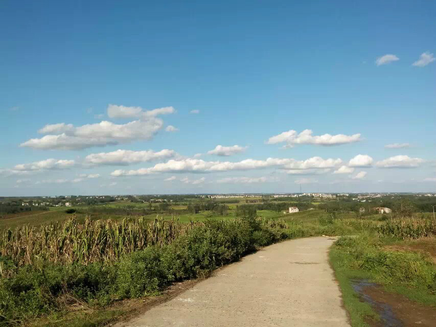 龍王鎮廟坡村