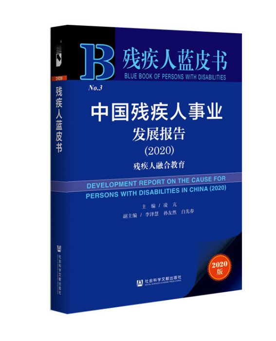 中國殘疾人事業發展報告(2020)