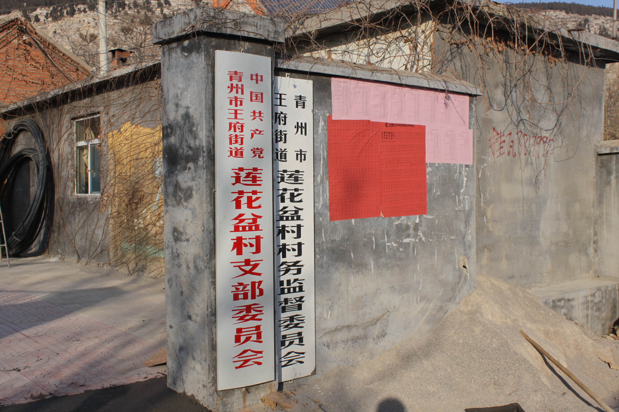 蓮花盆村(山東省濰坊市青州市王府街道下轄村)