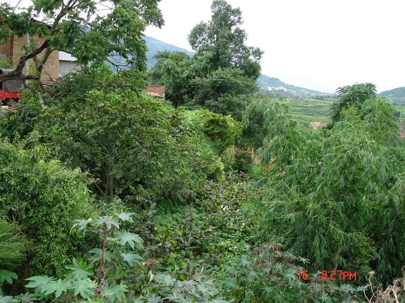 三租邑村