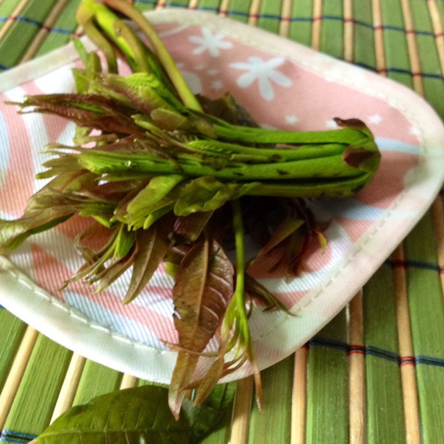 香椿醬油拌飯