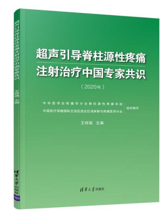 超聲引導脊柱源性疼痛注射治療中國專家共識