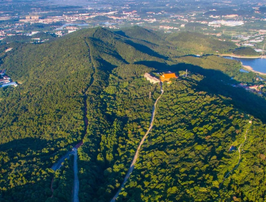 湖北青龍山省級森林公園