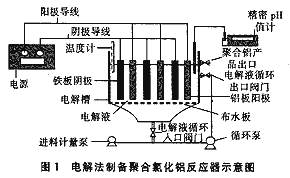 電解試驗