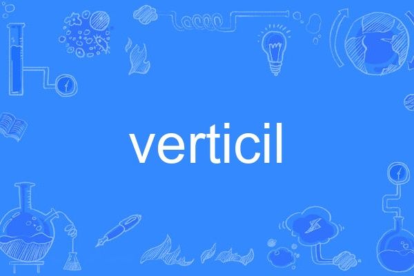 verticil