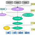 應用程式編程接口(api接口)