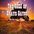 The Rose of Brays Bayou: The Runaway Scrape - the Sabine Shoot - the Great Runaway