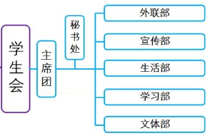 學生會組織結構圖