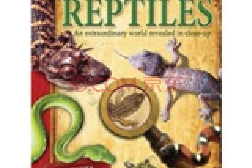 viewfinder: reptiles