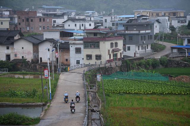 徑口村(廣東省河源市龍川縣田心鎮徑口村)