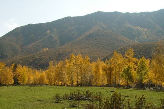 遼寧蓋縣國家森林公園