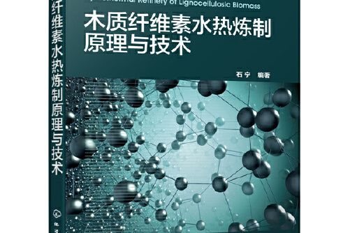 木質纖維素水熱煉製原理與技術