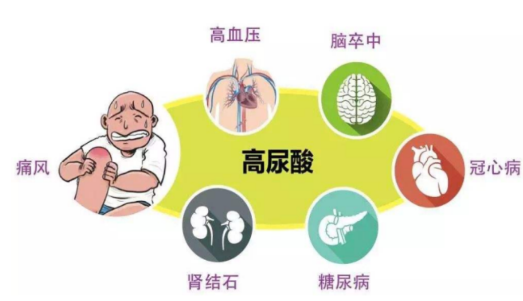 痛風的臨床表現