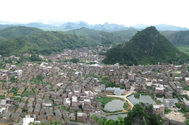 龍口村(廣西玉林市興業縣葵陽鎮下轄村)