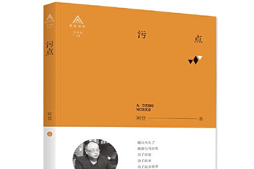 污點(2018年北嶽文藝出版社出版的圖書)