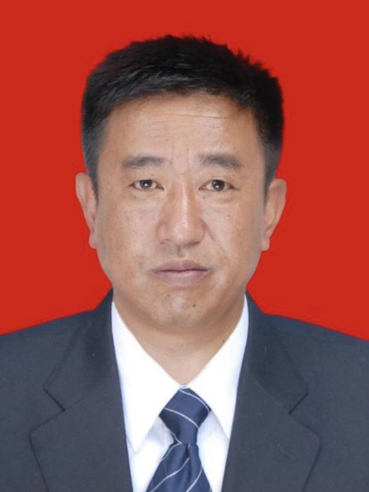 澤仁(西藏自治區昌都市城市管理和綜合執法局黨組書記、副局長)