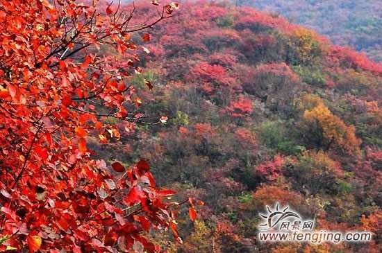 南陽桐柏山太白頂風景名勝區