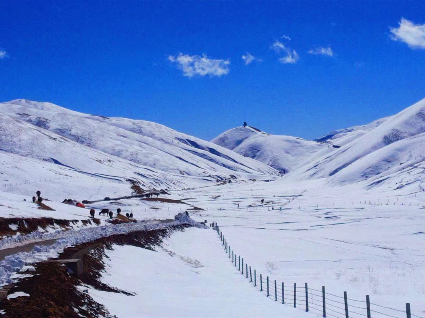 雲南會澤大海草山國際滑雪度假區