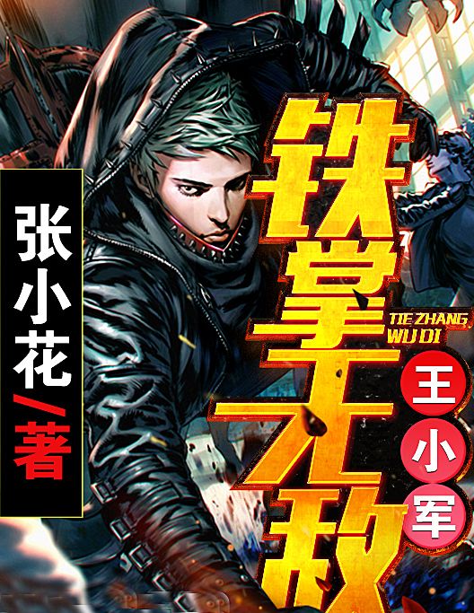 鐵掌無敵王小軍(張小花創作的網路小說作品)