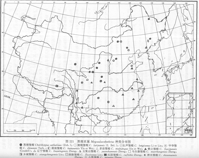 玉案山雛蝗中國分布圖