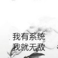 我有系統我就無敵