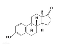 雌酚酮藥理