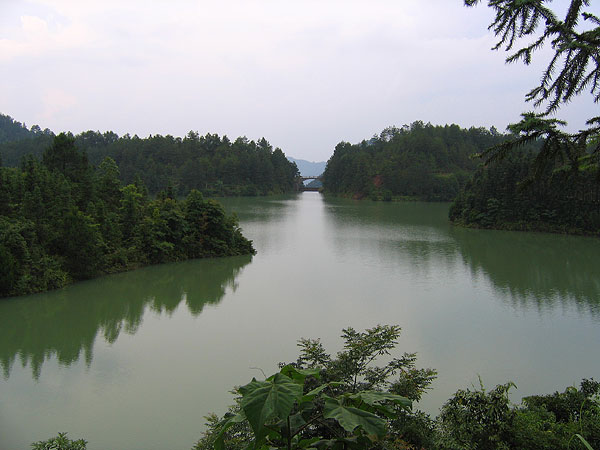 水庫村(上海市金山區漕涇鎮水庫村)