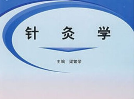 針灸學(2004年中國中醫藥出版社出版的圖書)