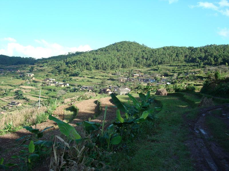 龍樹自然村(雲南臨滄鳳慶縣雪山鎮中山村委會龍樹自然村)