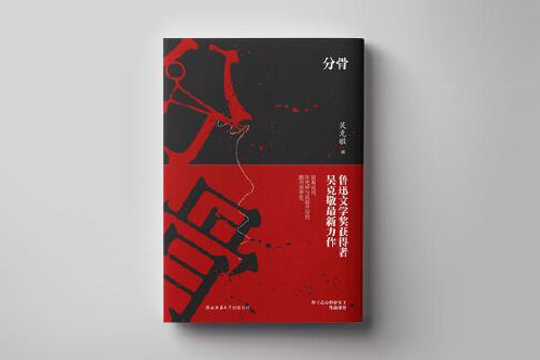 分骨(2018年陝西師範大學出版總社出版的圖書)