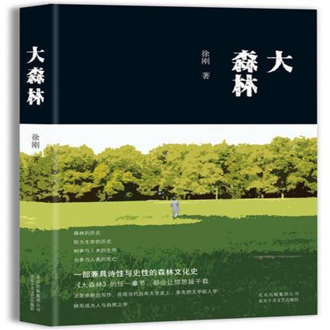 大森林(2017年北京十月文藝出版社出版的圖書)