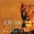 生而自由：野生母獅愛爾莎傳奇(生而自由)