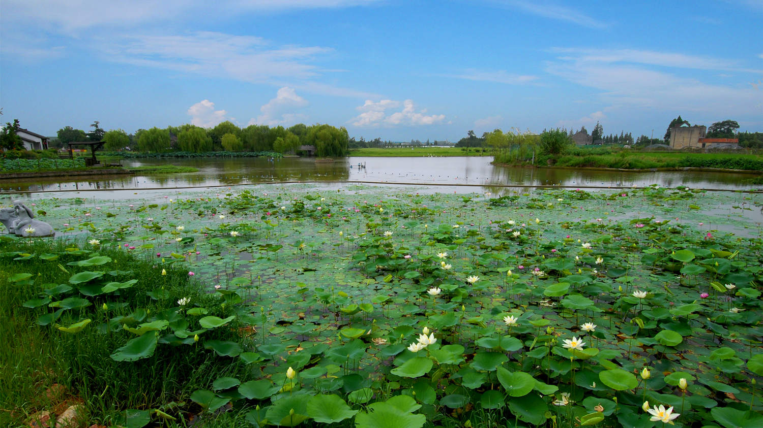 碧雲花園十里水鄉景區