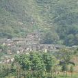 大凹子村(雲南省祿勸縣翠華鎮下轄村)