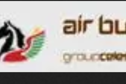 布吉納法索航空公司