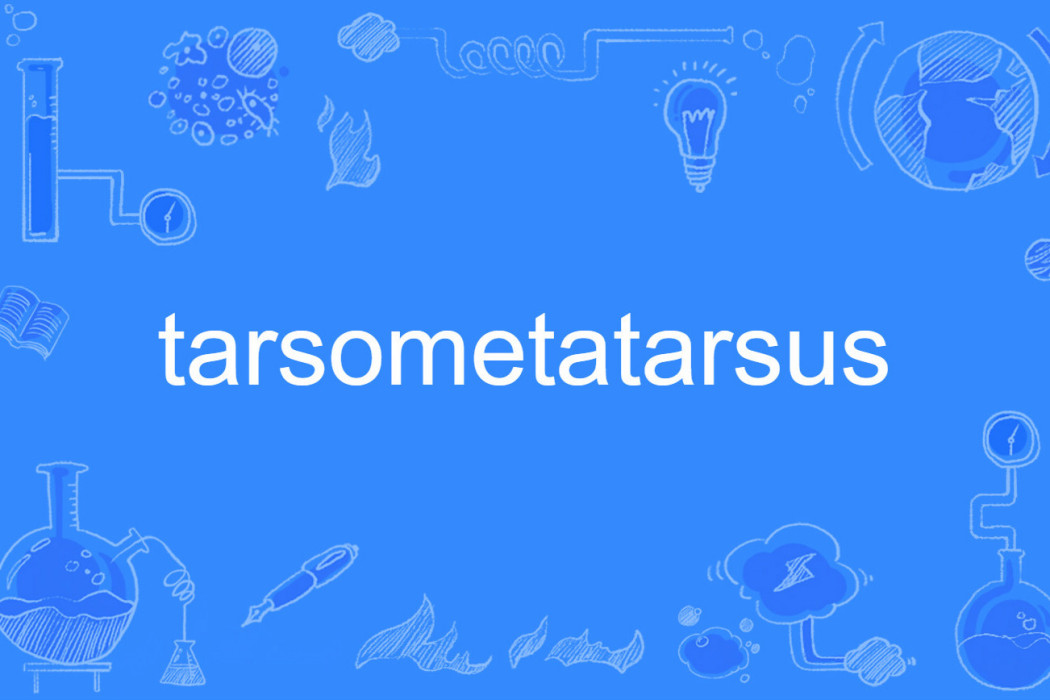 tarsometatarsus