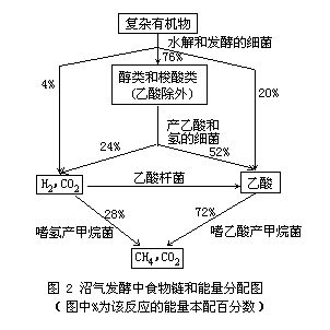 沼氣發酵微生物