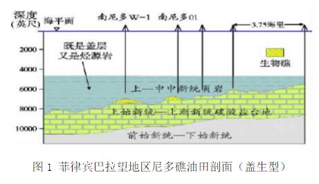 礁塊油氣藏