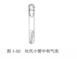 生理化鑑定