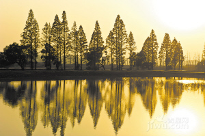 長沙洋湖垸濕地公園