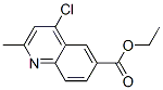 分子結構