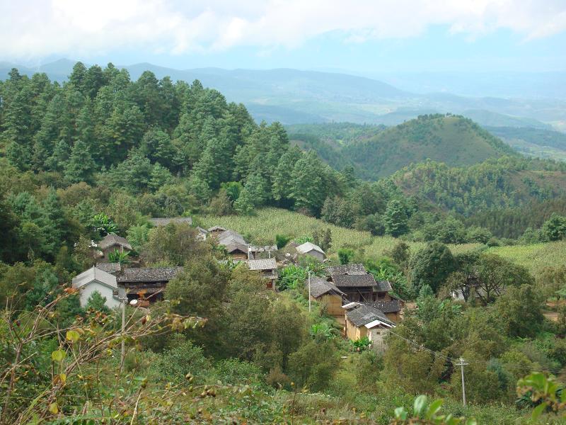 白墳箐自然村